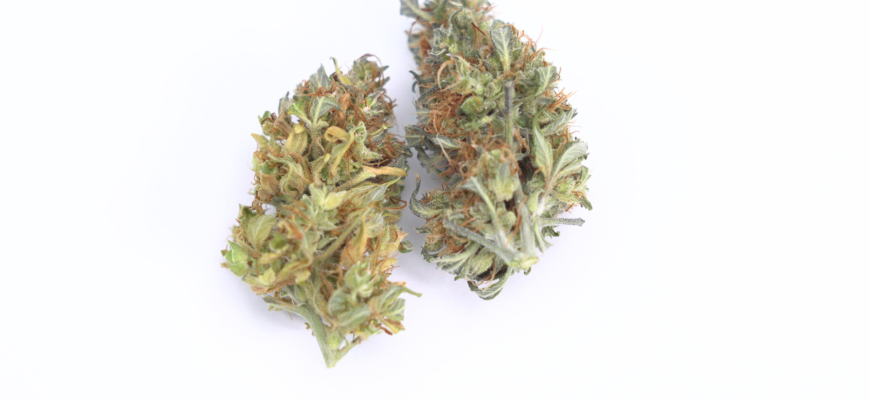 Dub-of-weed
