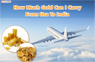 Gold-Carry-01
