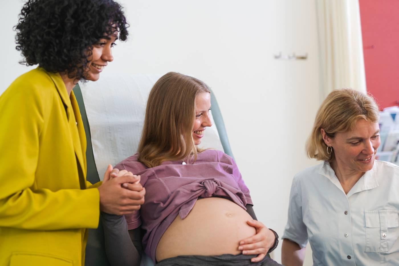 How does surrogate motherhood work: visual explanation