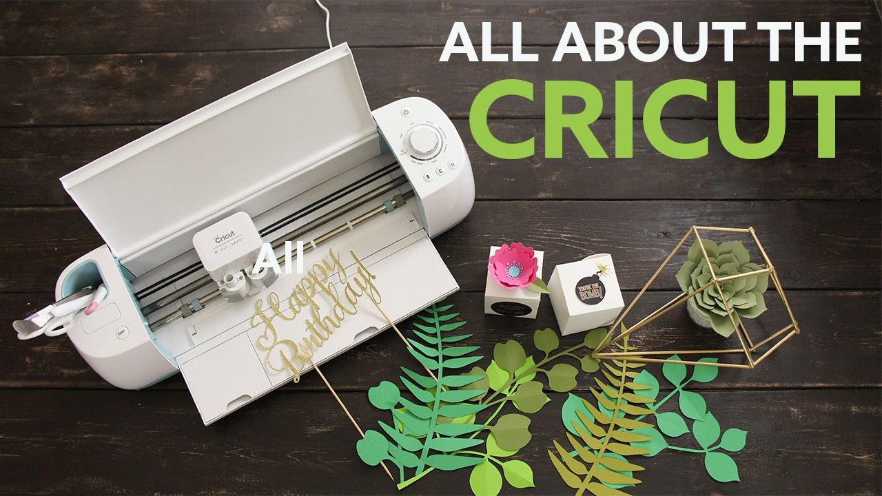 How does a cricket work: example and key details