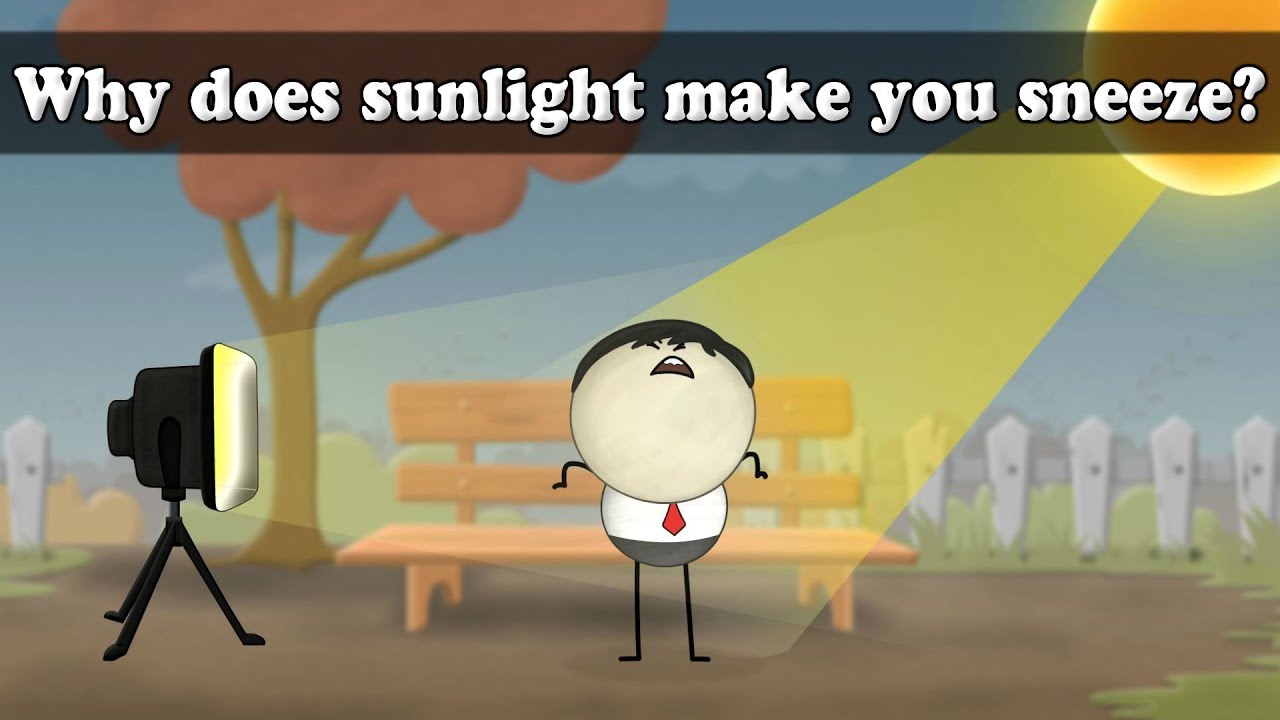 Why do i sneeze when i look at the sun: main illustration