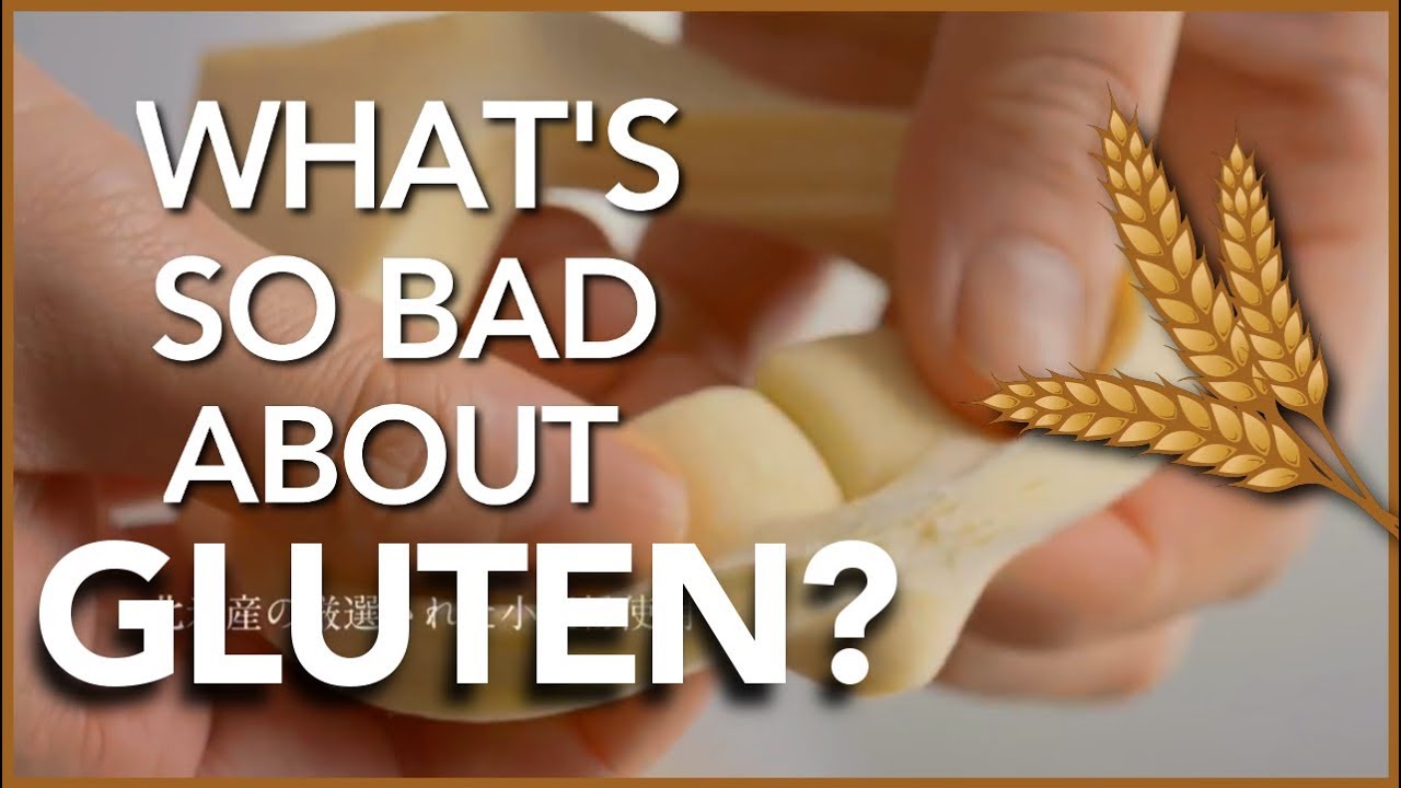 What is gluten why is it bad: visual explanation