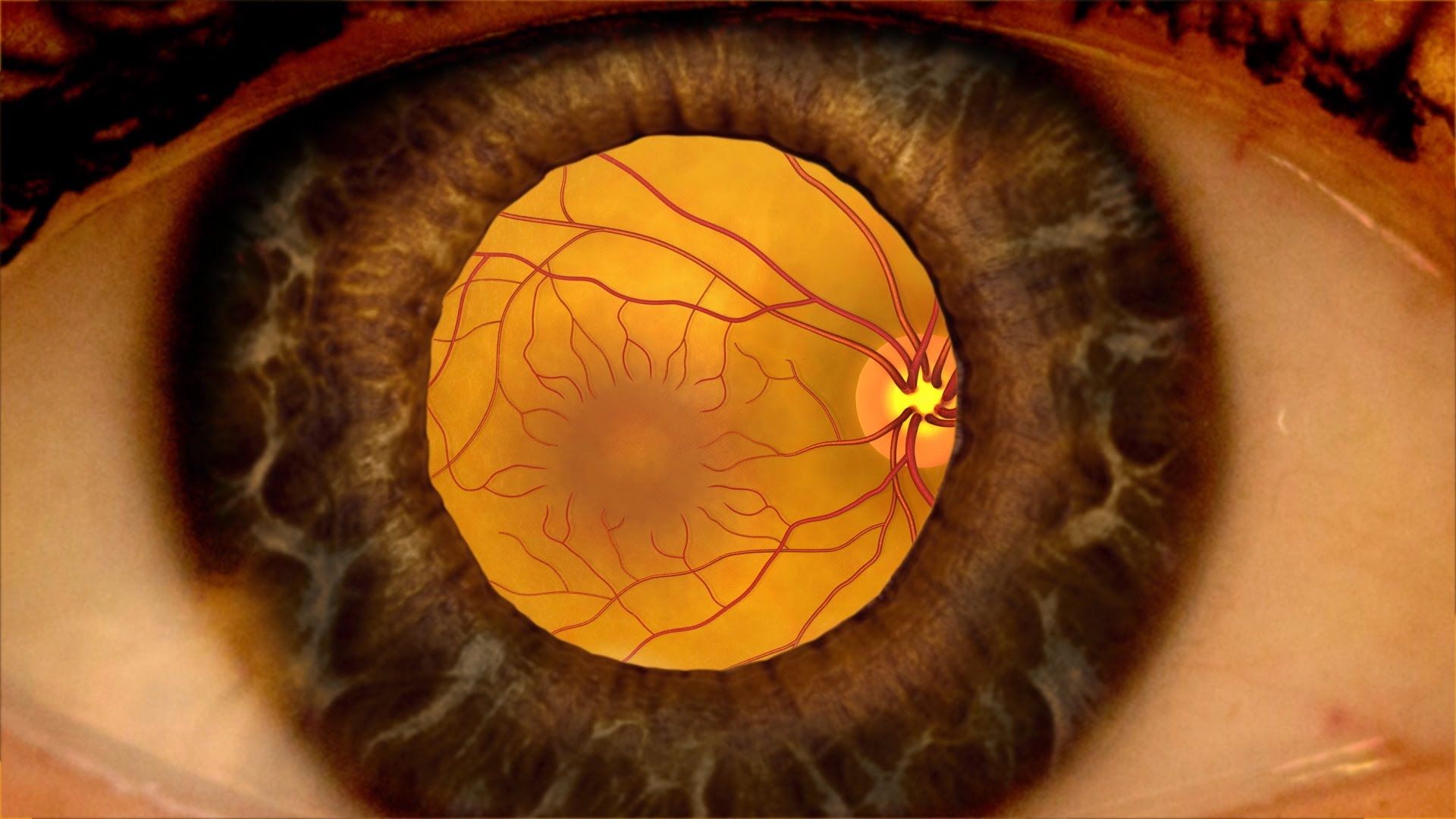 Why does an eye doctor dilate your eyes: visual explanation