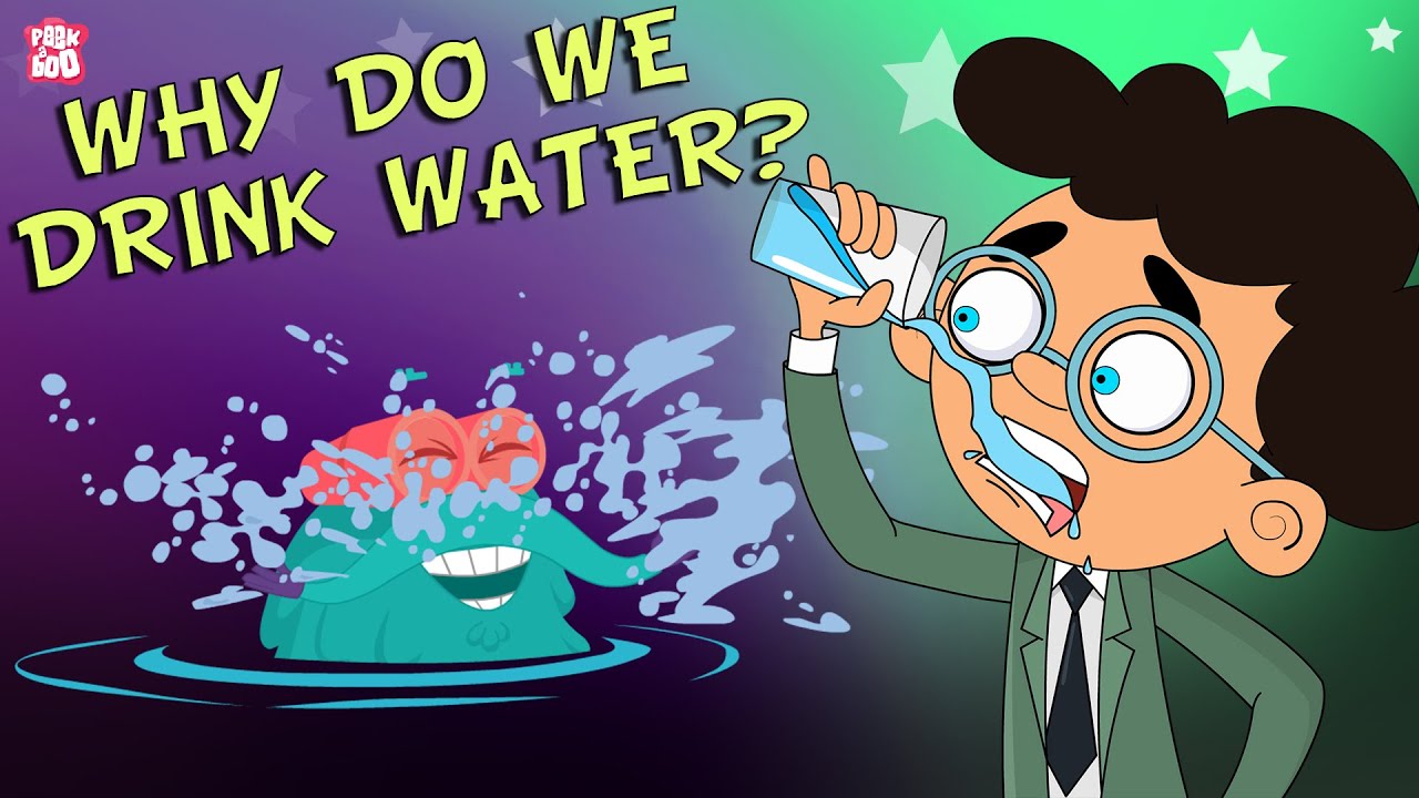 Why do we have water: example and key details