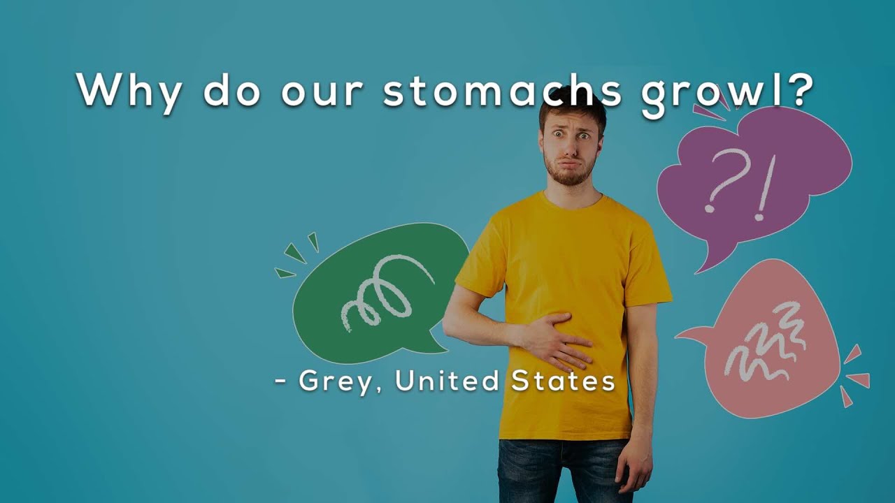 Why does our stomachs growl: visual explanation