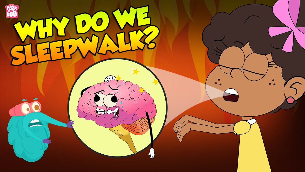 Why do we sleepwalk: visual explanation