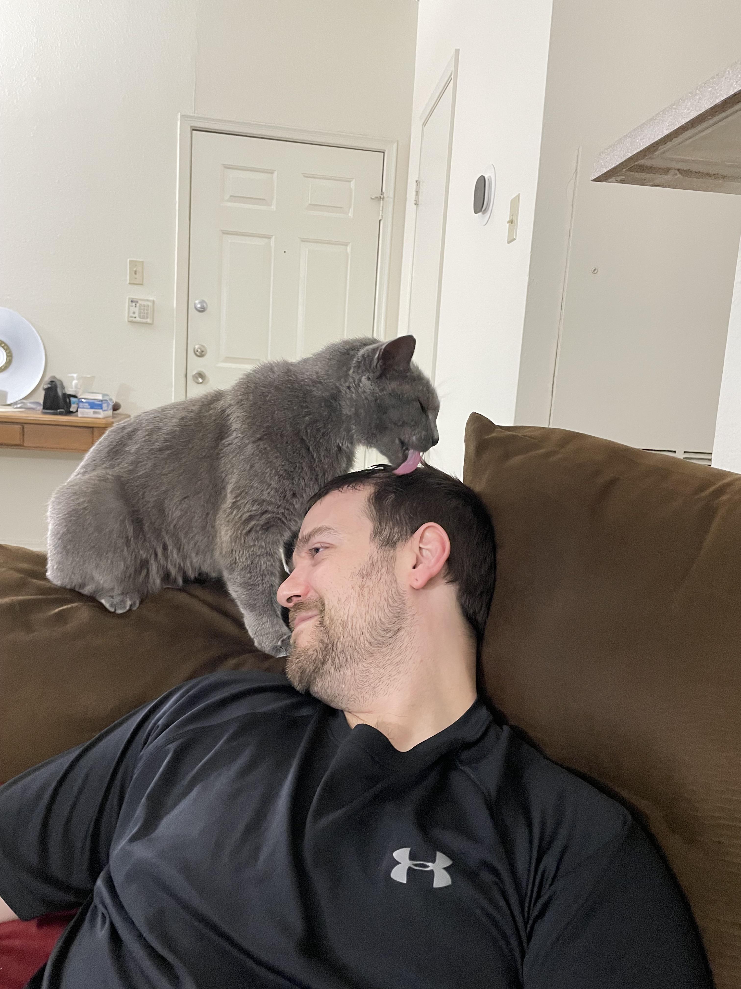 Why does my cat groom my hair: visual explanation