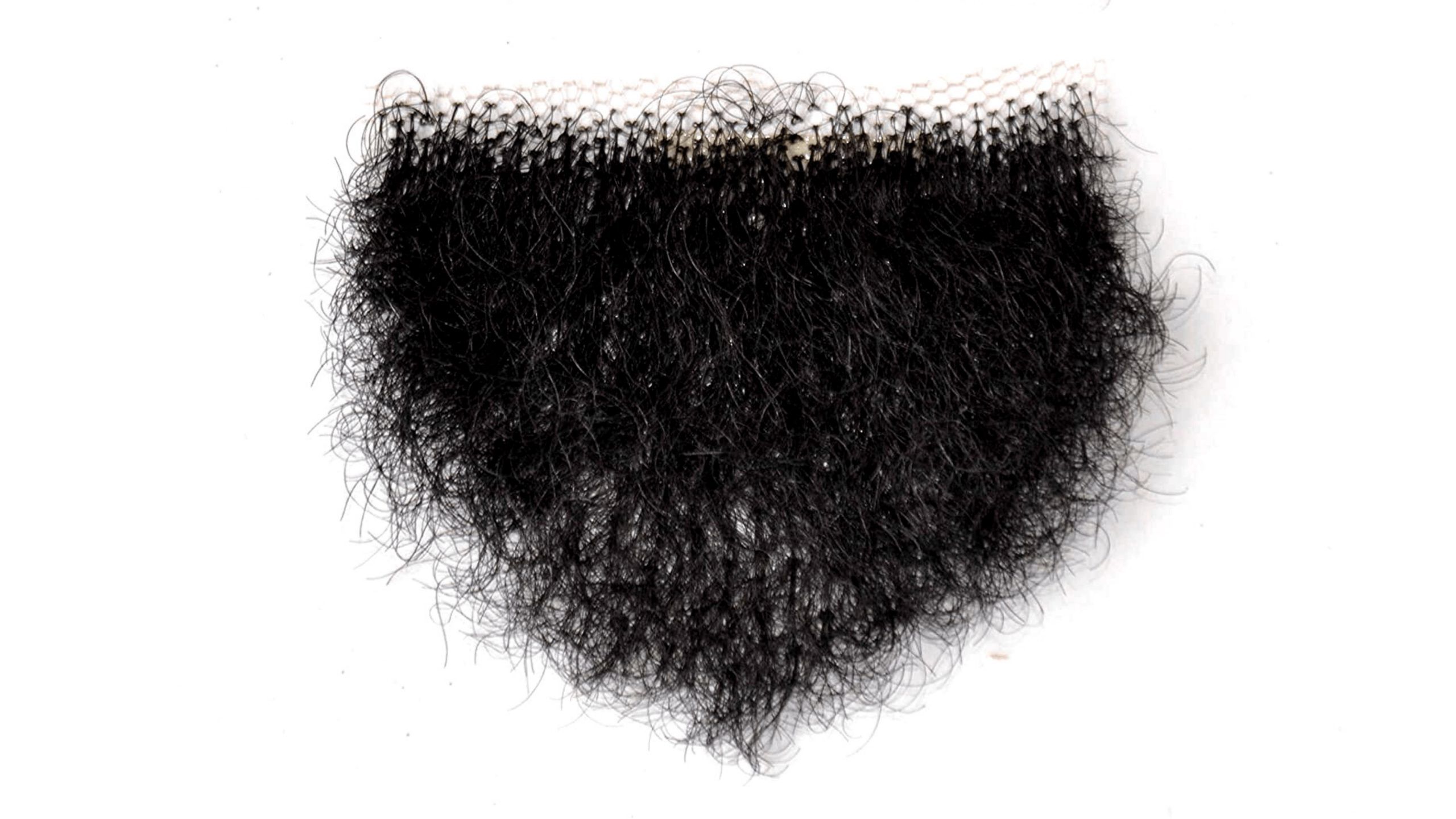Why do we have pubes: visual explanation