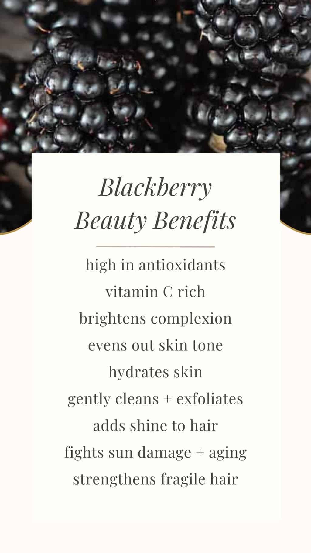 Health benefits of blackberry fruit: main illustration