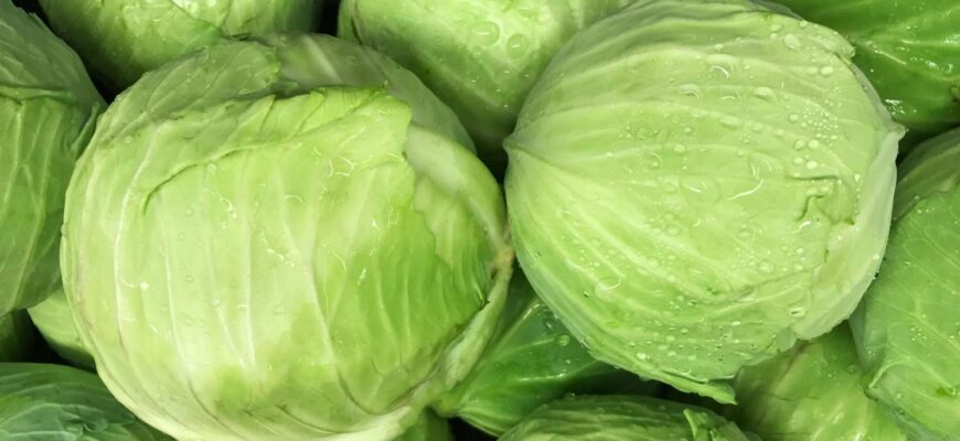 Cabbage-by-Howard-GrillGetty-Images-2000-e7858a36406340b79b2701f14763df73
