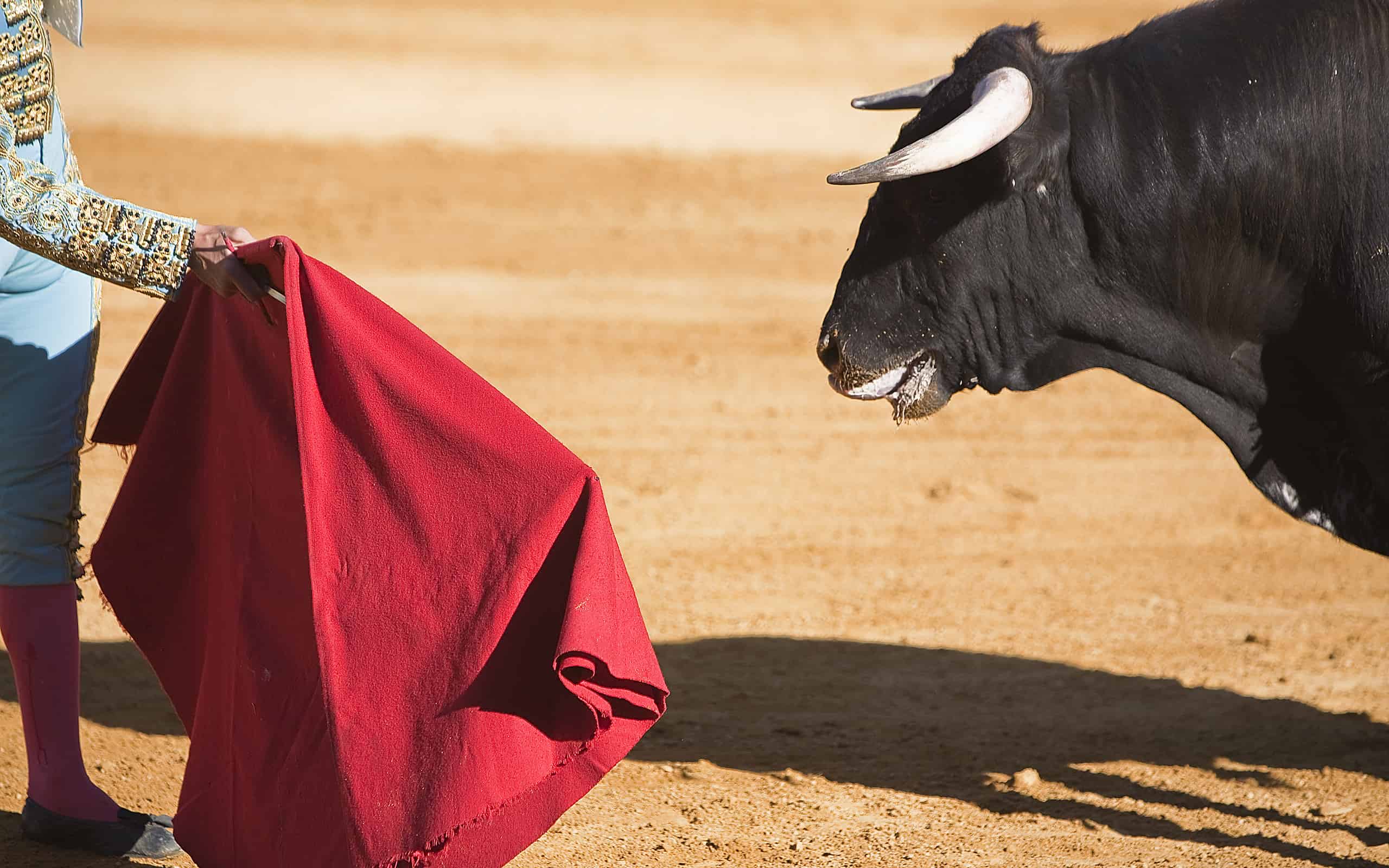 Why do bulls not like red: visual explanation
