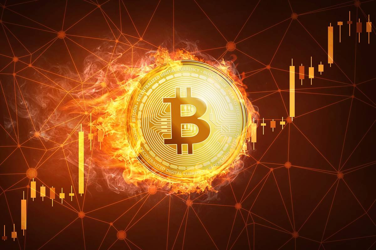 Should i buy bitcoins now: visual explanation