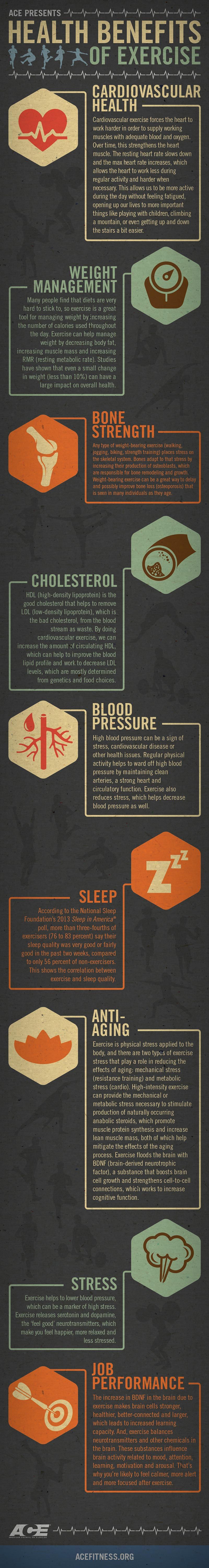 Benefits of physical exercise: visual explanation