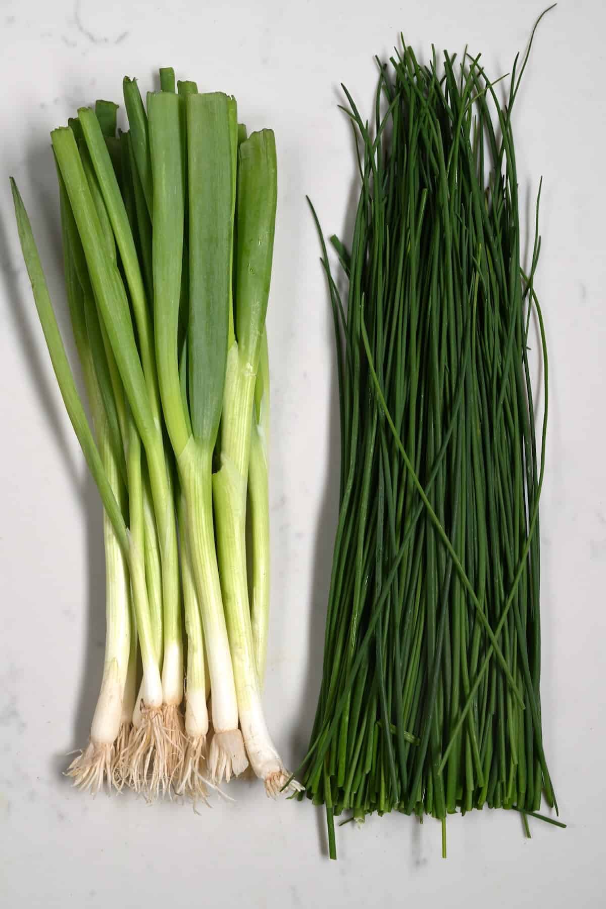 Difference between chives and green onion: example and key details