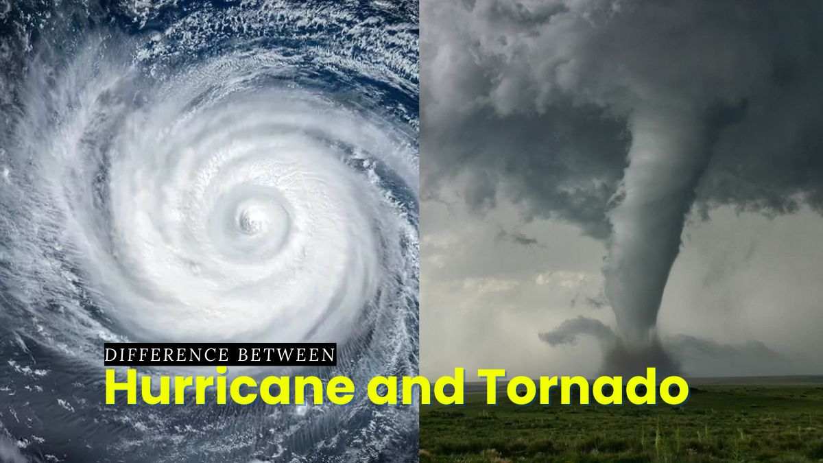 What is the difference between hurricane and tornado: main illustration