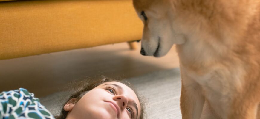 dog-staring.optimal