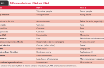 exploring-key-differences-between-hsv-1-and-hsv-2-a-comprehensive-guide