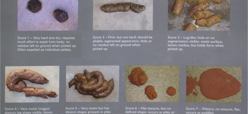 fecal