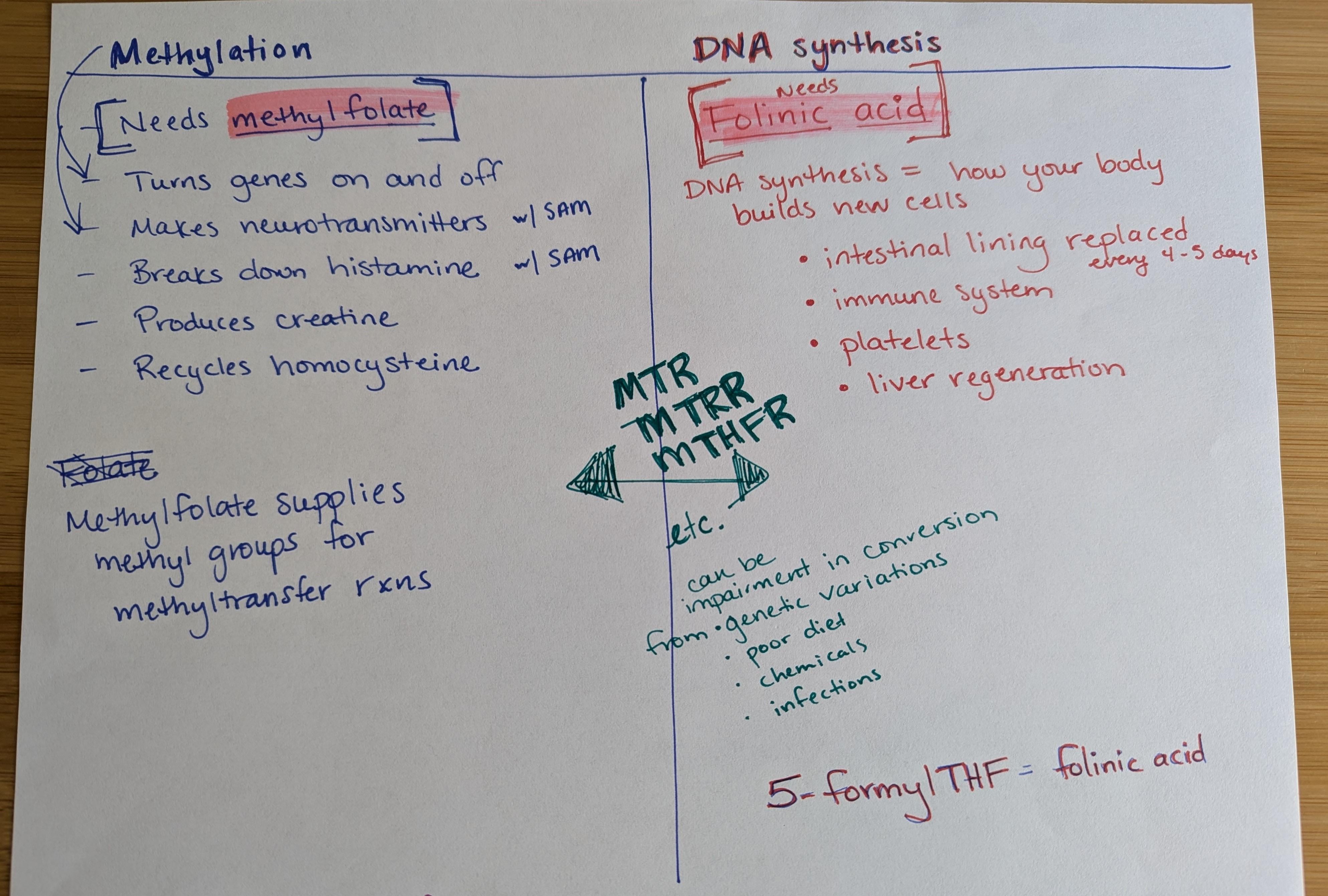 Difference between folic and folinic acid: main illustration