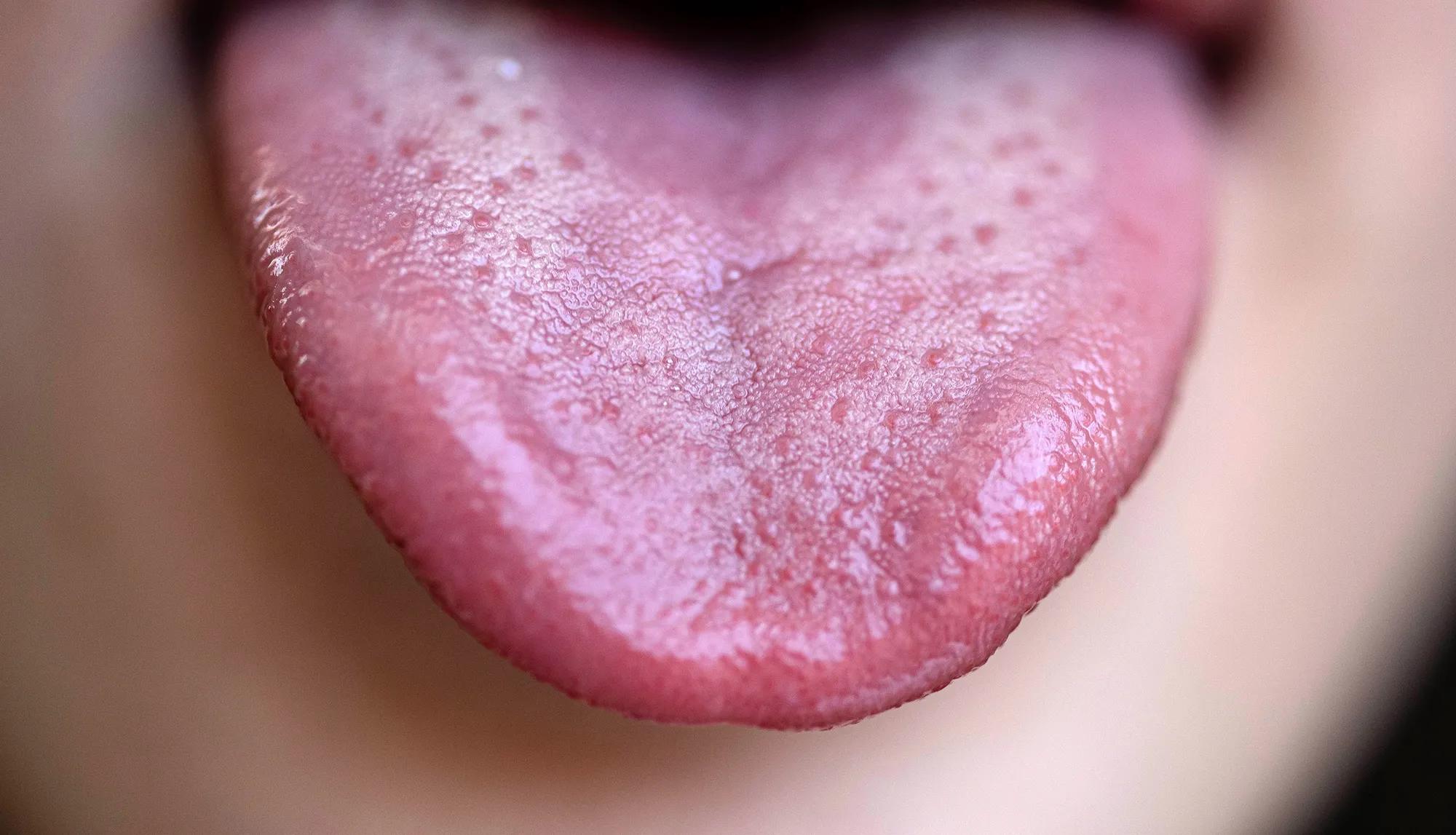 Why do i taste salt in my mouth: visual explanation