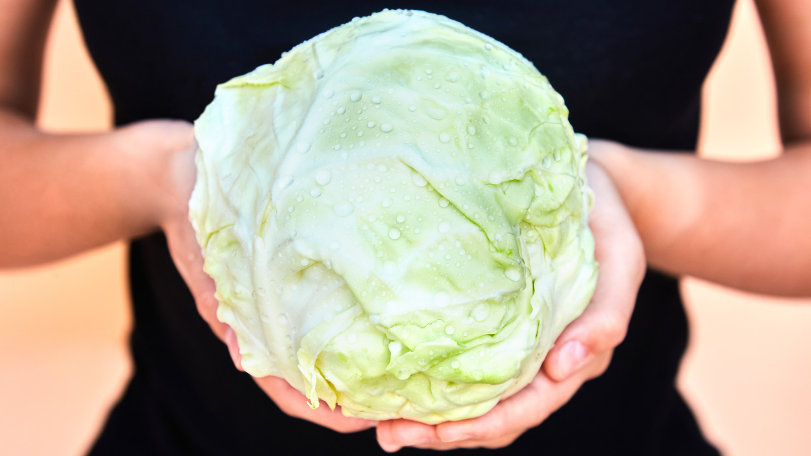 How long does cabbage keep in the refrigerator: visual explanation