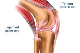 perbedaan-ligamen-dan-tendon-rs-premier-bintaro